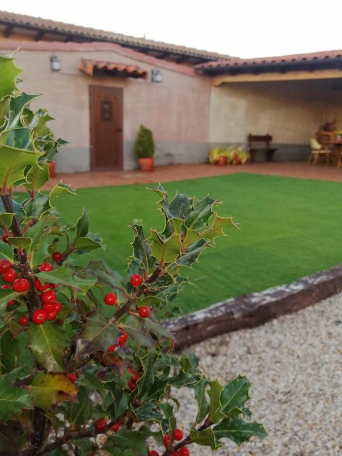 Casa Los Lagares Peral de Arlanza Bagian luar foto